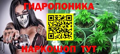 крисы Братск