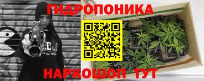 крисы Братск
