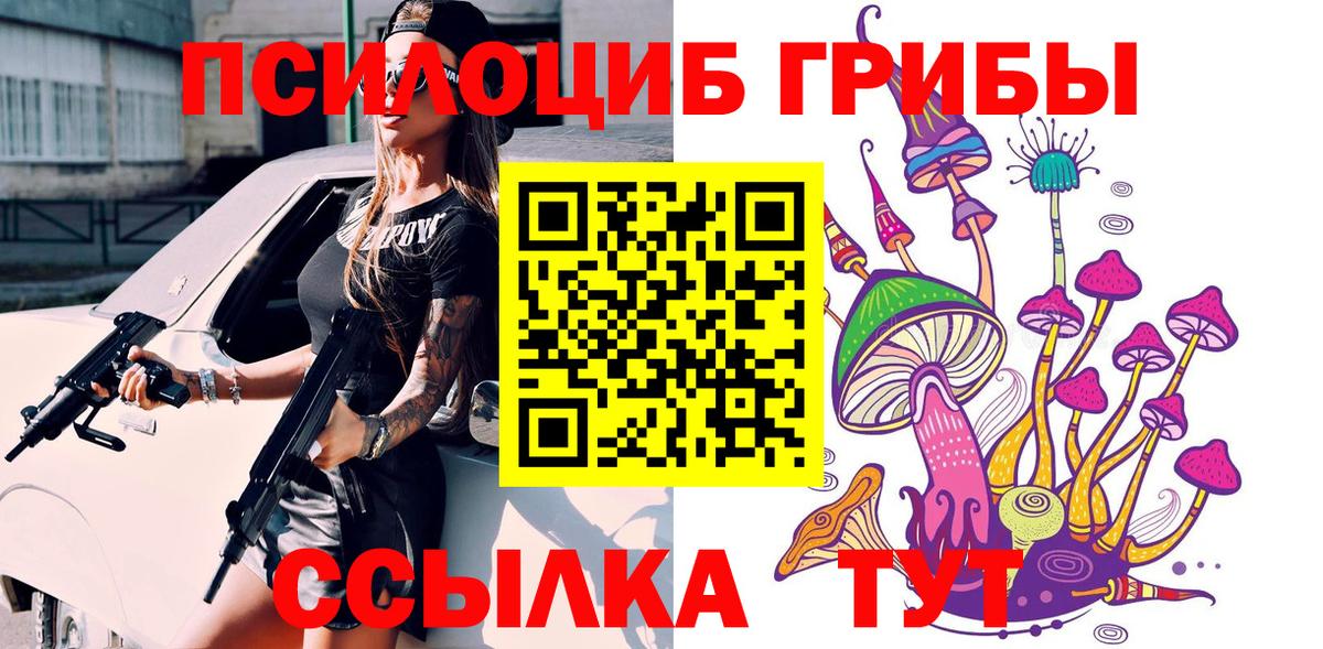 Псилоцибиновые грибы GOLDEN TEACHER Вичуга